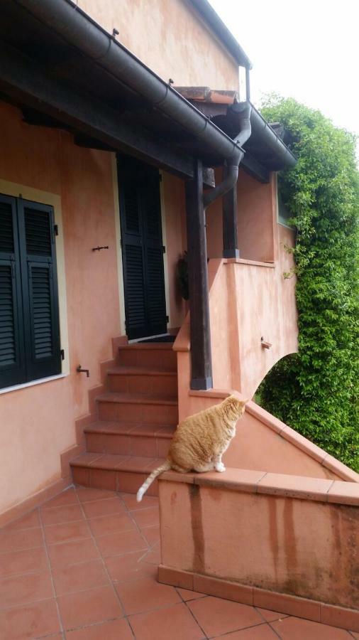 Pin De Stelle Bed & Breakfast San Martino  Exterior foto